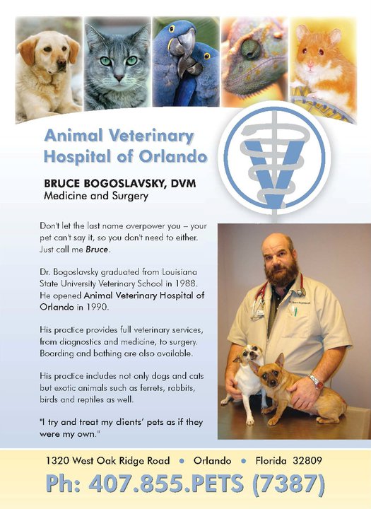 Animal Veterinary Hospital of Orlando - Veterinarian in Orlando, FL US ::  Meet Our Team Animal Veterinary Hospital of Orlando - Veterinarian in  Orlando, FL US