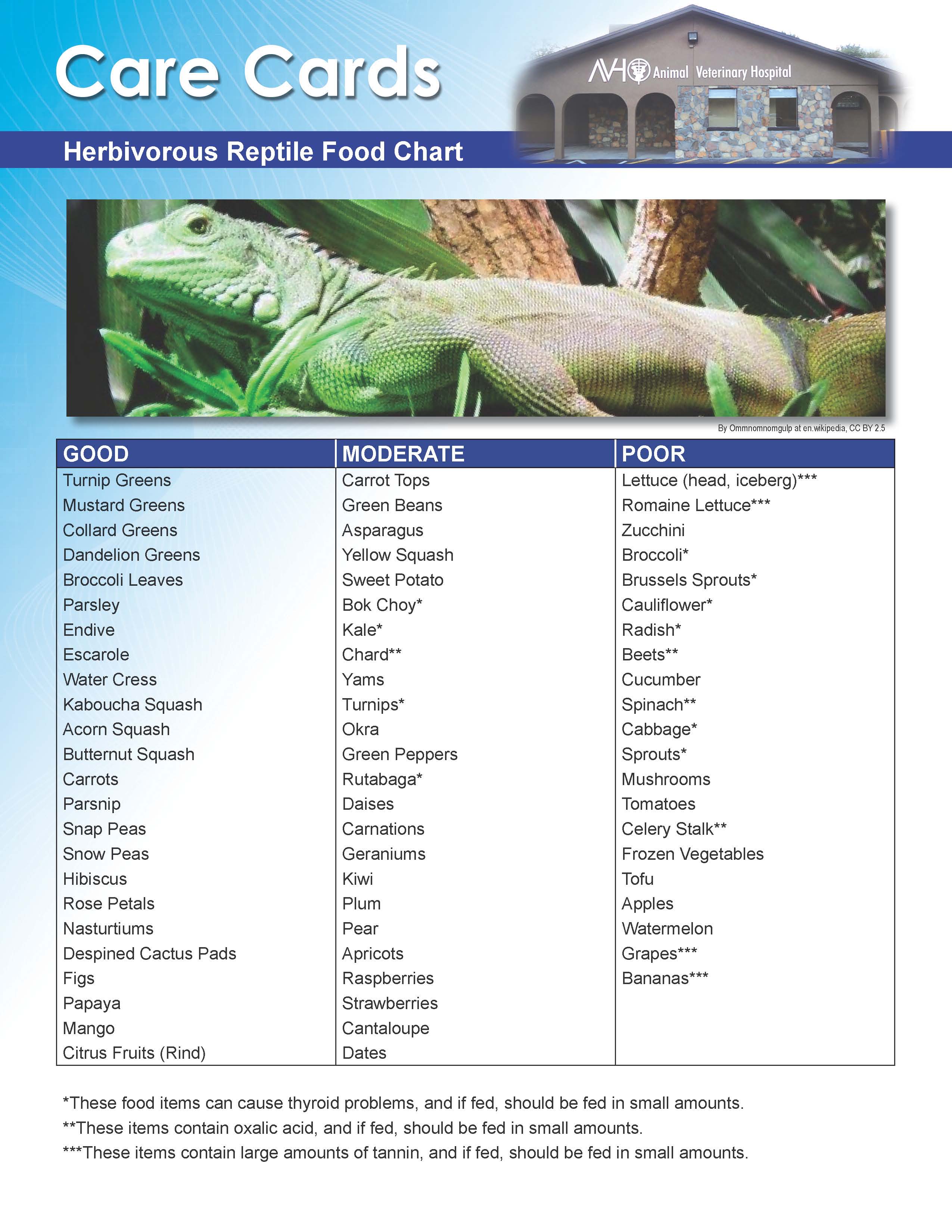 Herbivorous Reptile Food Chart